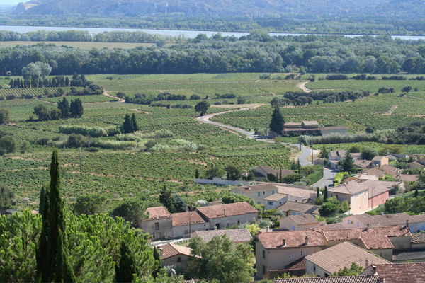 The Provencal Countryside