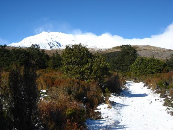 The stunning Mt Ruapehu