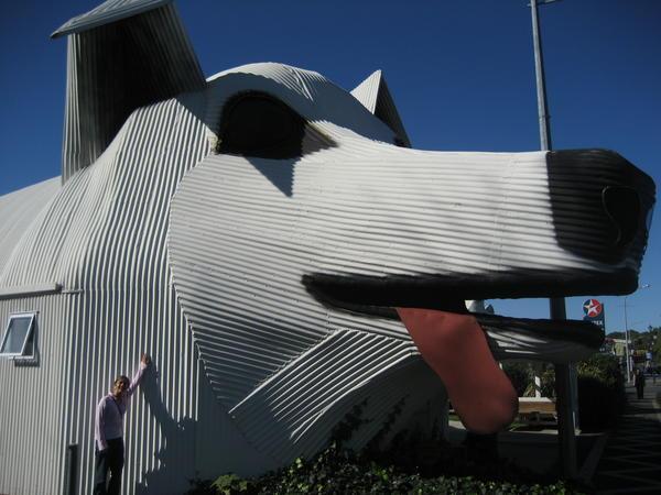 with a very big corrugated iron dog