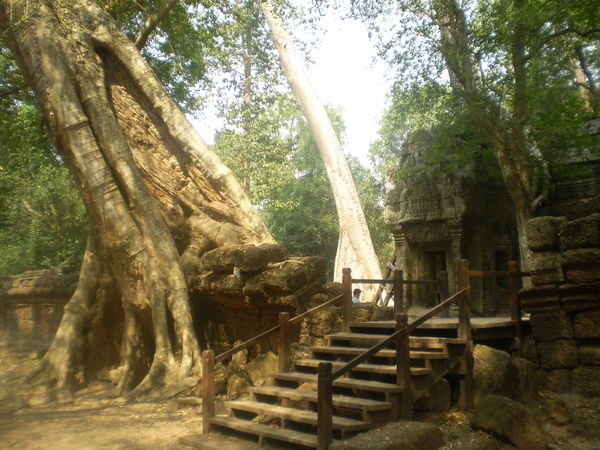 Entrance into Ta Prohm at Angkor Thom