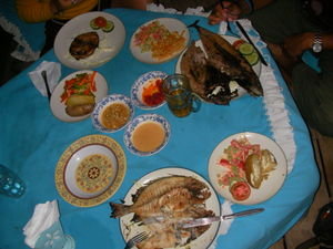 A fishy feast 