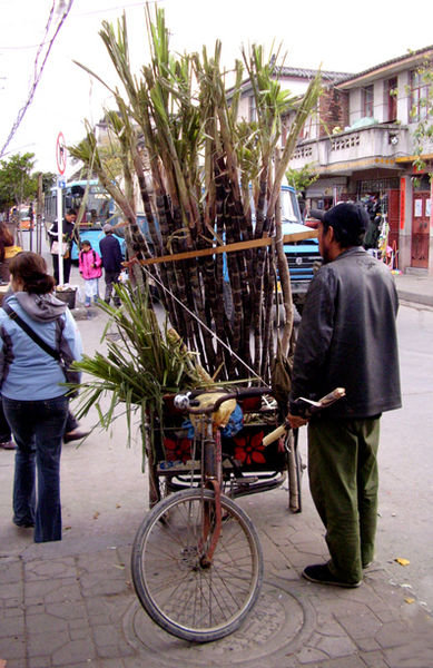 Bamboo man