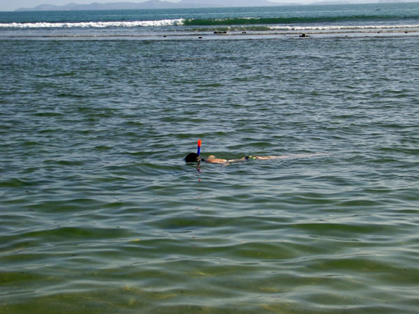 Aoife snorkeling on Phangan