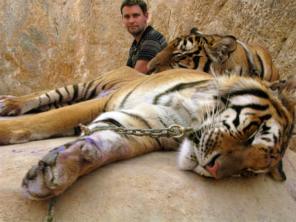 Let sleeping tigers lie