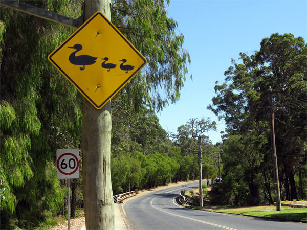 World's most adorable roadsign (tm)