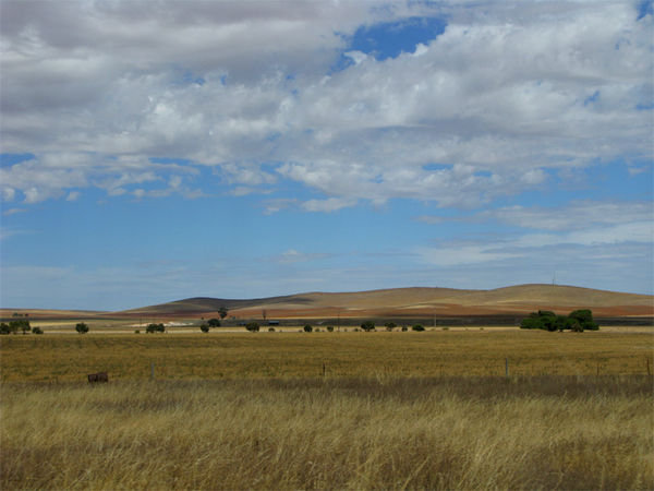 Farmland | Photo