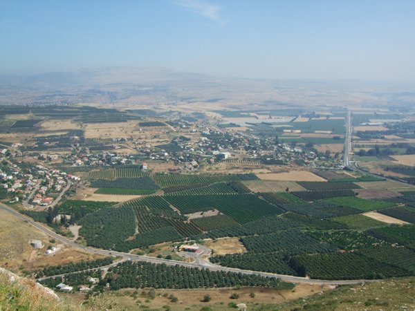 From the Arbel