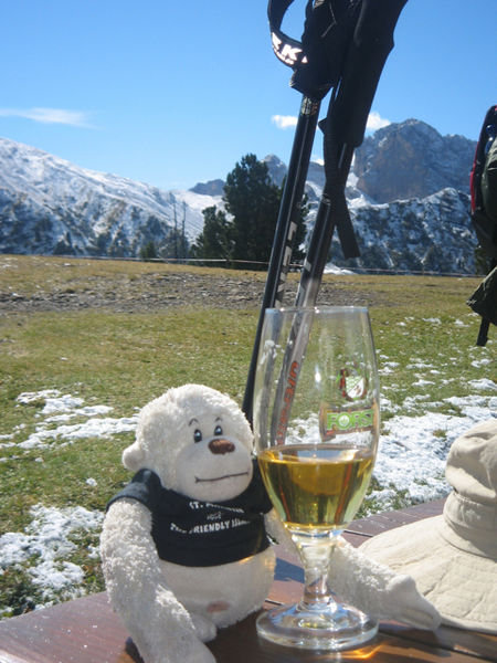 Enjoying a cold one at the Willams Hutte ~8500’.