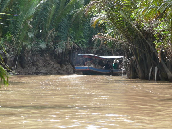An island in the Mekong