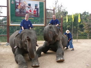 Us and our elephants