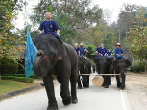 Simon and Jojo leading in the parade to the tourist show