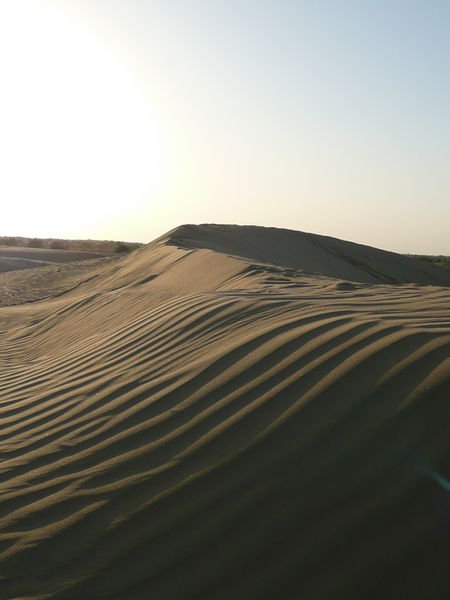 The sand dunes at sunset