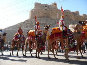 Camels in the Jaisalmer festival parade