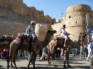 Camels in the Jaisalmer desert festival parade