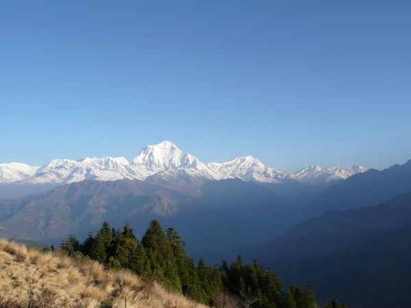 Sunrise At Poon Hill 