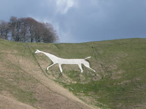 One of the white horses