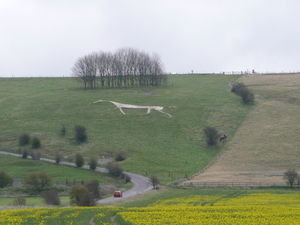 Another white horse