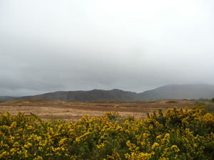 The Ring of Kerry...in the rain