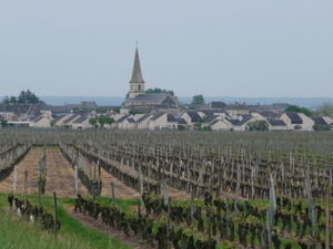 The Loire valley