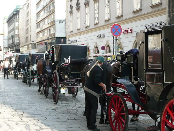 Horse and cart rides next to St. Stephen's Cathedral 
