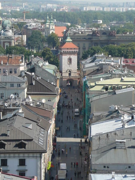 View from the belltower of St. Mary's Basilica