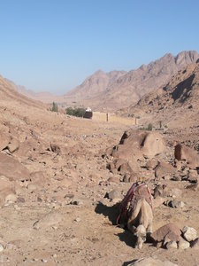 The foot of Mt Sinai, and St Katherine's monastry
