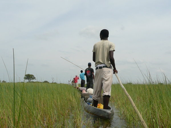 Mokoro trip, Okavango Delta