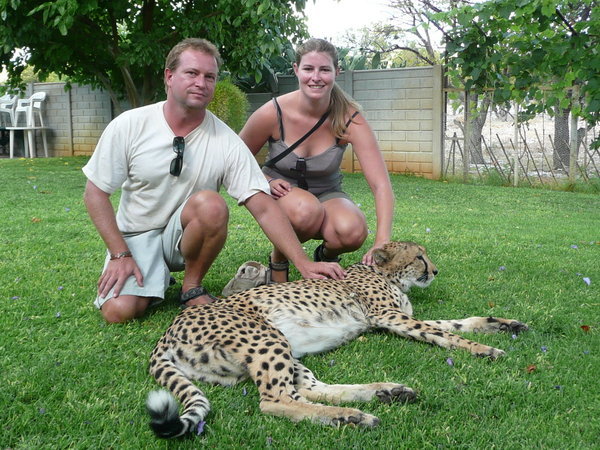 Cheetah sanctuary, Namibia