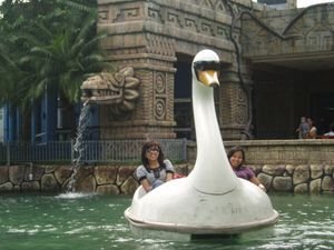 enchanted kingdom swan lake