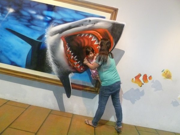 shark attack!