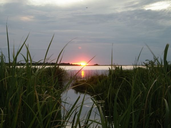 Sunset in the wetlands