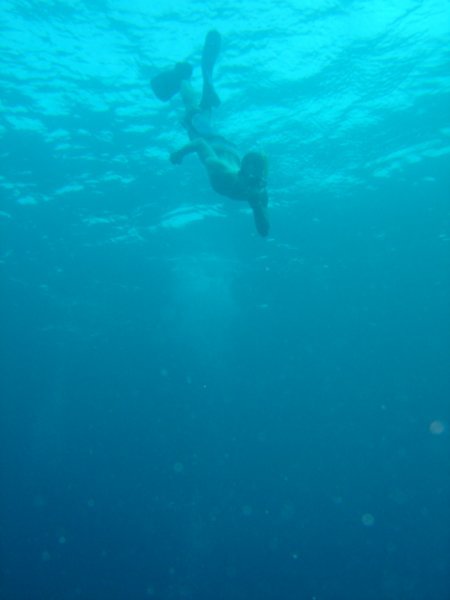 Jamie snorkelling