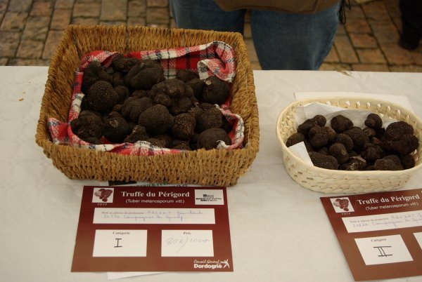 Truffle market