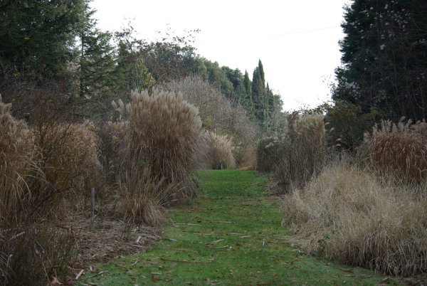A garden near Le Fournil