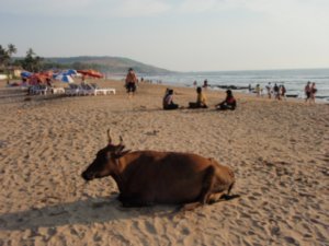 beaches in india