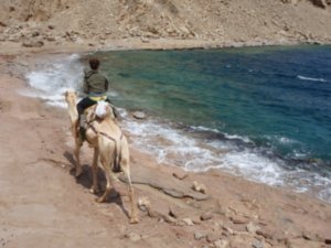 camel trek 4