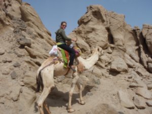camel trek 5
