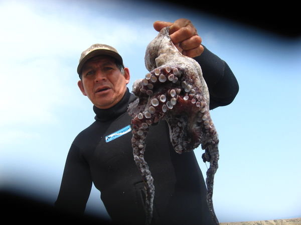 Fisherman with octopus