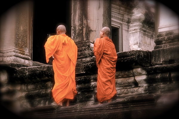 Angkor Wat Saffron