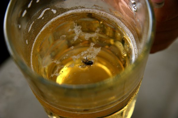 Waiter There's a Fly in My Beer!