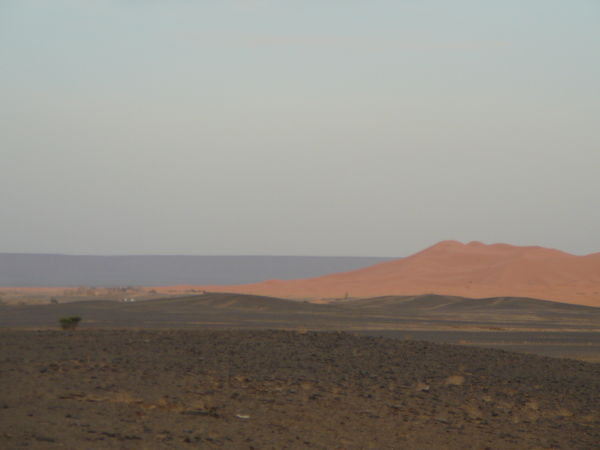 Dunes in the background