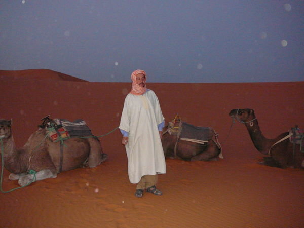 Our camels, and the man who walked them