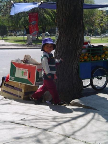 Little boy selling zumo de naranja