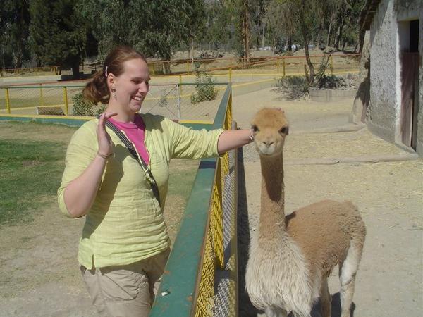 laura and a llama