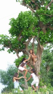 how many kids can you fit in a tree?!
