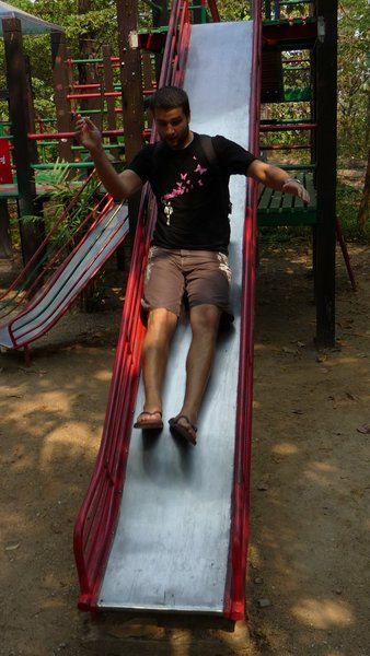 Dom on a slide