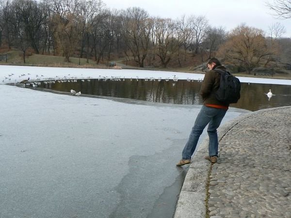 Points d'eau gelés dans Central Park