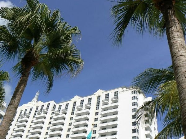 Hotels de luxe et palmiers