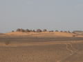 Some of Sudan's pyramids, Albajrawia