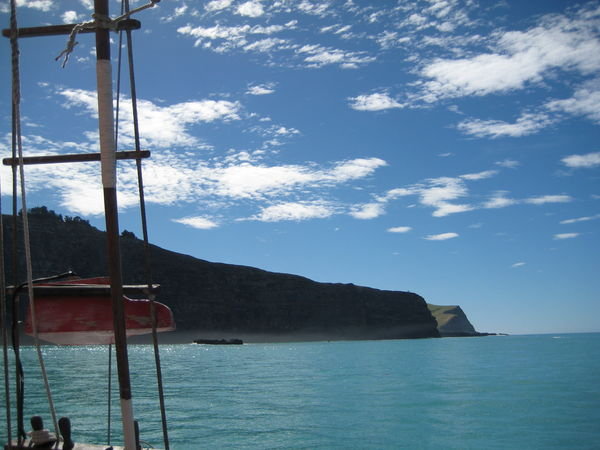 Boat Cruise in Akaroa